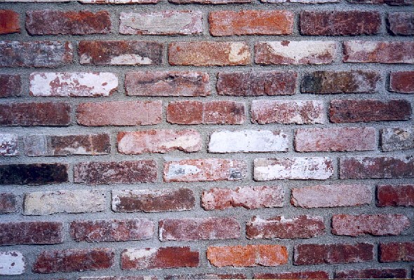 Some bricks, yesterday.